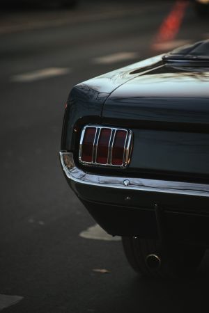Wallpaper