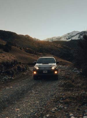 Wallpaper