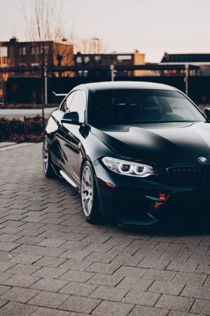 Wallpaper