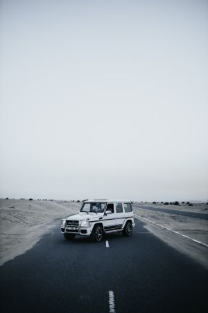 Wallpaper