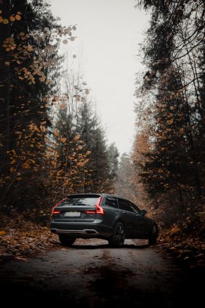 Wallpaper