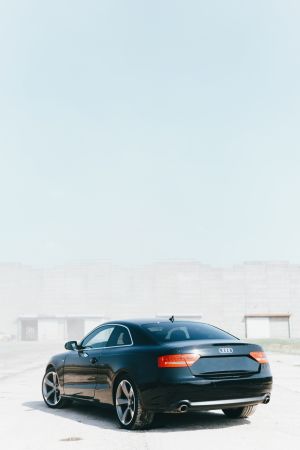 Wallpaper