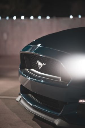 Wallpaper