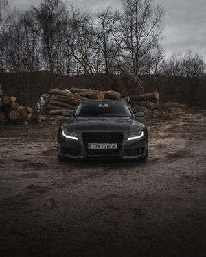 Wallpaper