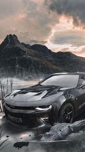 Wallpaper