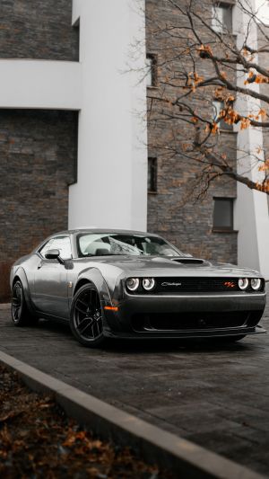 Wallpaper