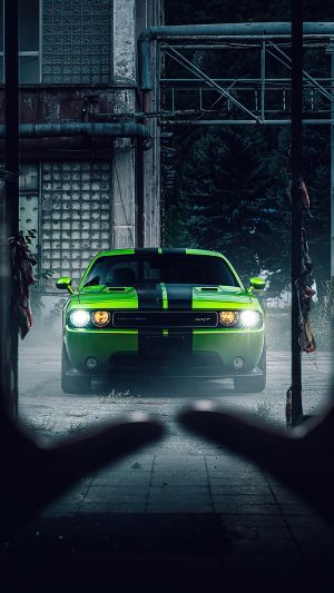 Wallpaper