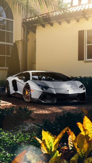 Wallpaper
