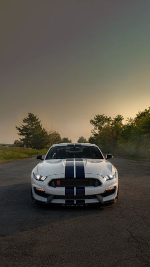 Wallpaper