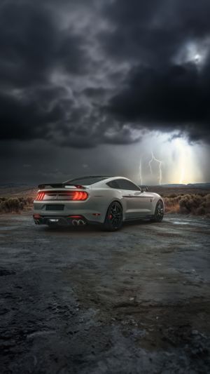 Wallpaper