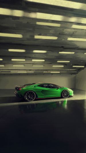 Wallpaper