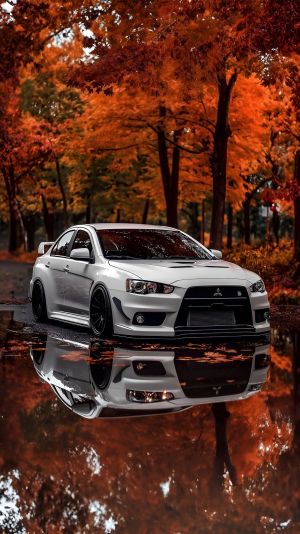 Wallpaper