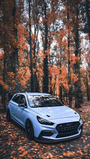 Wallpaper