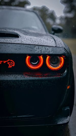 Wallpaper