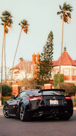 Wallpaper