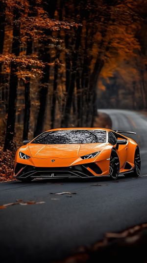 Wallpaper