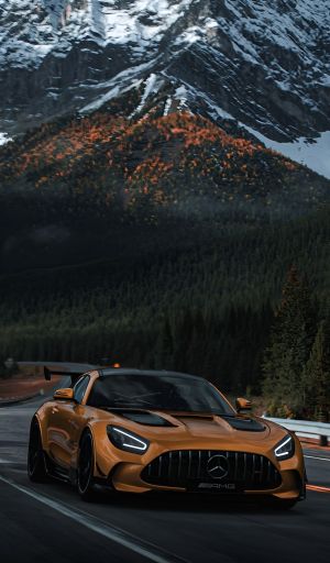 Wallpaper