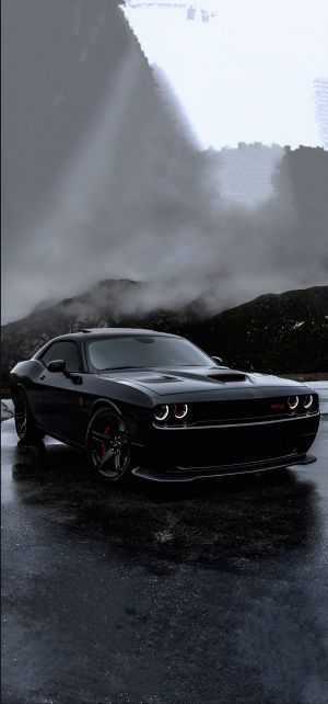 Wallpaper