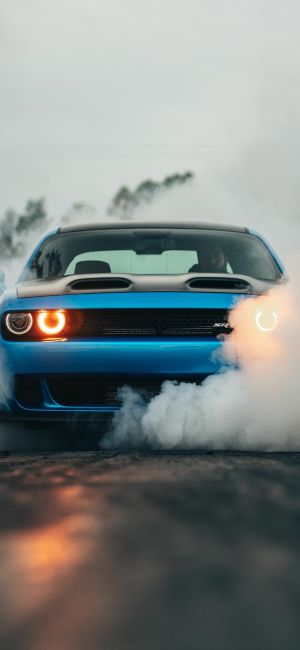 Wallpaper