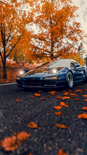 Wallpaper