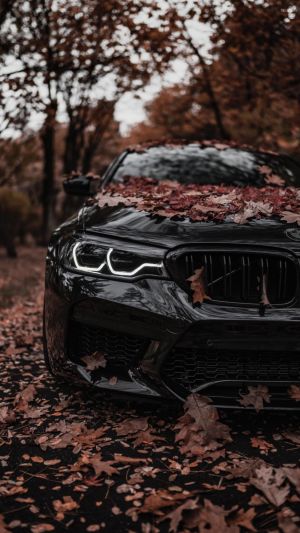 Wallpaper