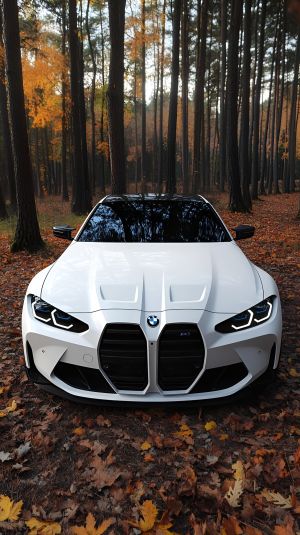 Wallpaper