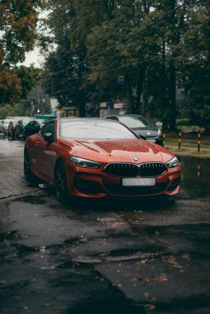 Wallpaper