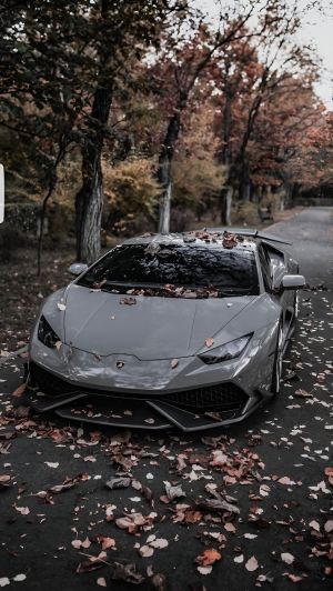 Wallpaper