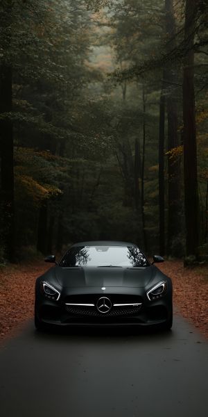 Wallpaper