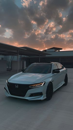 Wallpaper