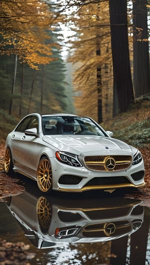 Wallpaper