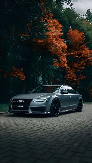 Wallpaper