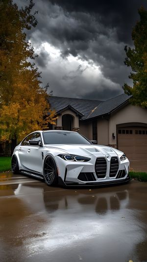 Wallpaper
